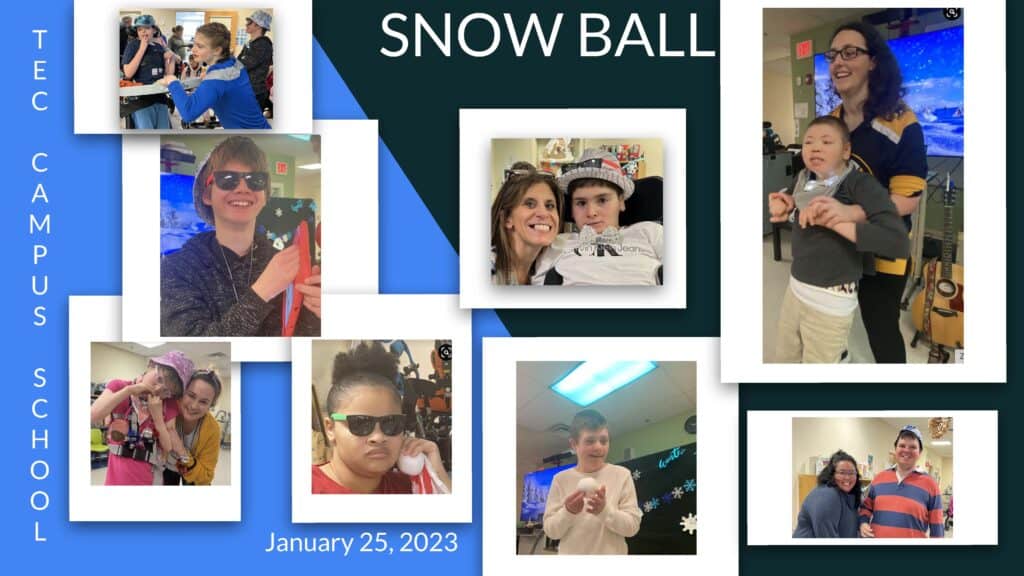 Snow Ball collage