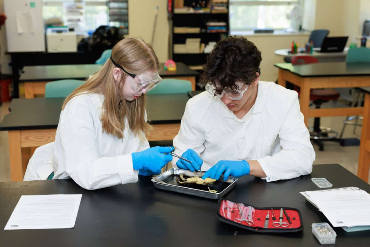 TEC-High-School-Students-Science-Activity-03 TEC-High-School-Students-Science-Activity-03